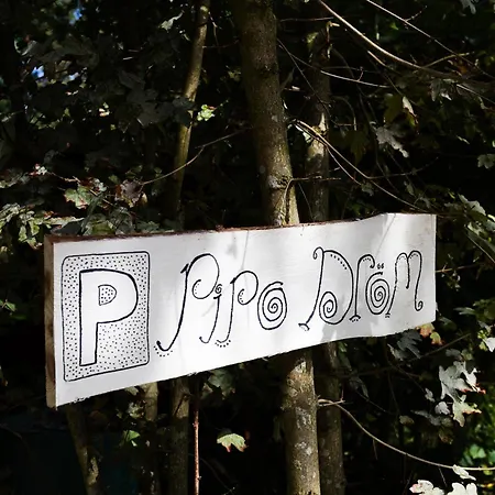 Wegdromen Op De Veluwe In Romantische Rode Pipowagen