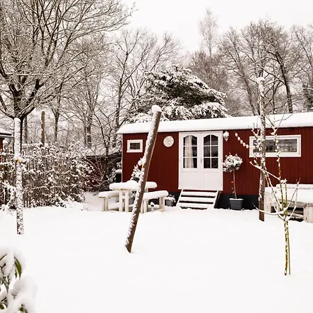 Wegdromen Op De Veluwe In Romantische Rode Pipowagen