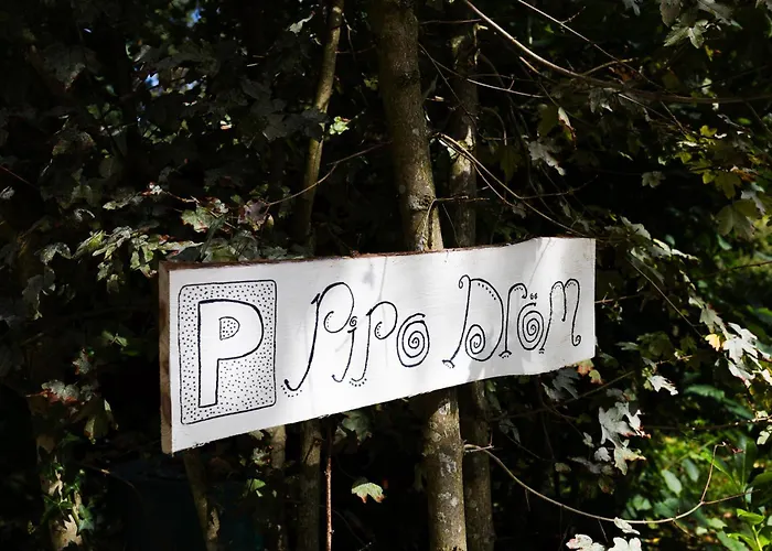 Wegdromen Op De Veluwe In Romantische Rode Pipowagen