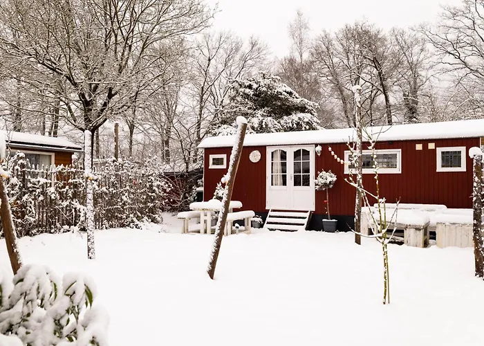 Wegdromen Op De Veluwe In Romantische Rode Pipowagen